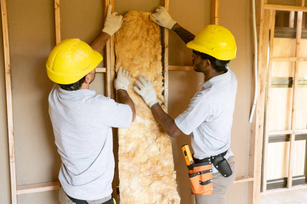 Best Insulation for New Construction  in Meadville, PA